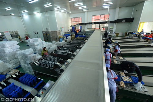 太倉農產品生產穩定，市場供應有保障