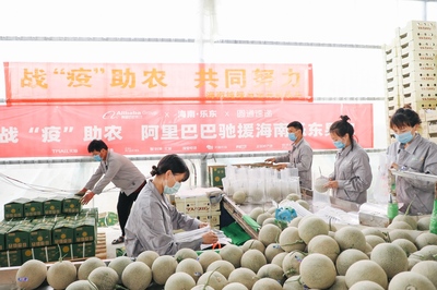 愛心助農打通產銷路，阿里巴巴“搶收”滯銷農產品直供北上廣
